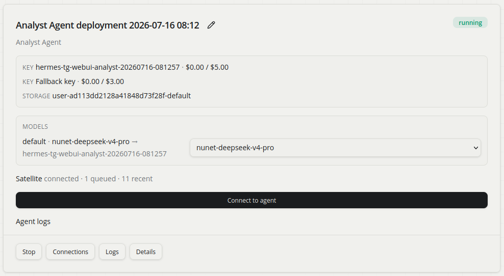 Analyst Agent deployment dashboard showing running status, keys, models, and connect to agent